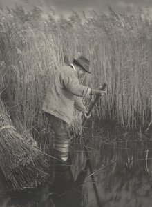 Un tagliatore di canne al lavoro, 1886 da Peter Henry Emerson, Thomas Frederick Goodall
