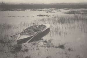Cacciatore che lavora fino agli uccelli