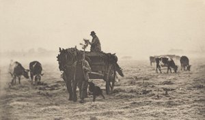 Una Mattina Gelida da Peter Henry Emerson