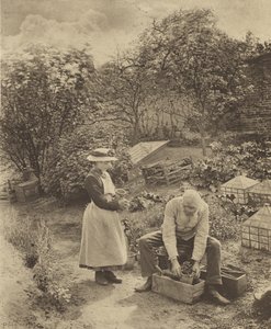  da Peter Henry Emerson