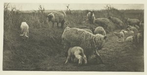 Una pastorale di marzo (Suffolk) da Peter Henry Emerson