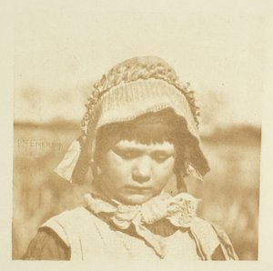 Un Fiore di Norfolk da Peter Henry Emerson