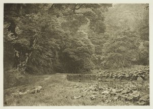 Un angolo di tranquillità a Beresford Dale da Peter Henry Emerson