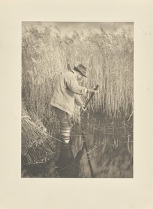  da Peter Henry Emerson