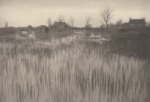Una riva paludosa