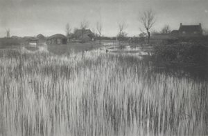 Una costa lussureggiante da Peter Henry Emerson