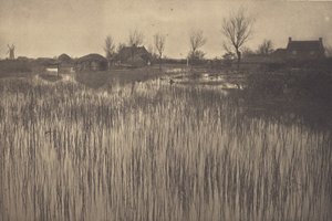 Una costa lussureggiante