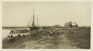 Blackshore, fiume Blythe (Suffolk)