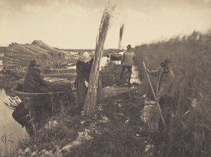  da Peter Henry Emerson