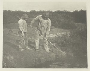 Raccolta di anguille nelle acque del Suffolk