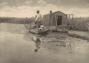  da Peter Henry Emerson