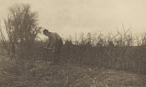 Recinzione in Suffolk da Peter Henry Emerson
