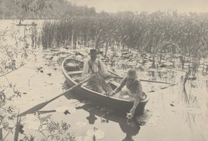 Raccolta di ninfee da Peter Henry Emerson