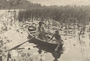 Raccogliere le ninfee da Peter Henry Emerson