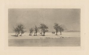 Alberi di spino nodosi da Peter Henry Emerson