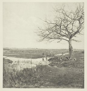 Marzo senza foglie (Suffolk)