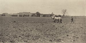 Fattoria di Palude in Primavera