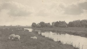 Sul fiume Bure, 1886 (foto) da Peter Henry Emerson