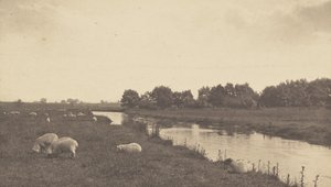 Sul fiume Bure da Peter Henry Emerson