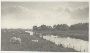 Sul fiume Bure da Peter Henry Emerson