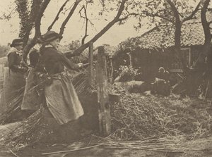 ViminiPeeling. [Norfolk]. da Peter Henry Emerson
