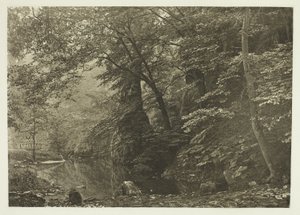 "Pike Pool" (dal basso) da Peter Henry Emerson