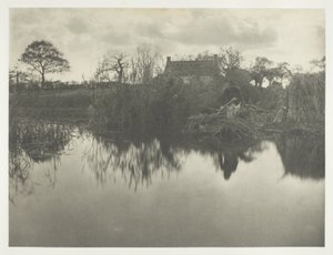 Quantificare il Gladdon da Peter Henry Emerson