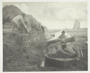 Raccogliendo la canna da Peter Henry Emerson