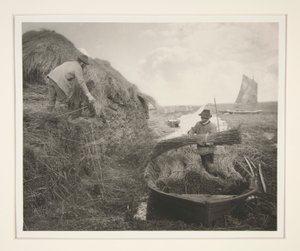 Raccogliendo la canna da Peter Henry Emerson