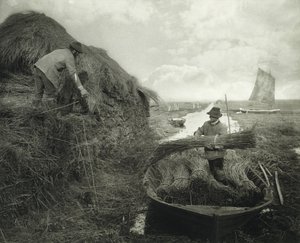 Raccogliendo la canna, c.1885