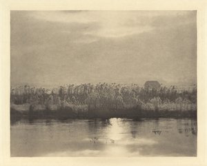 Cristalli di brina da Peter Henry Emerson