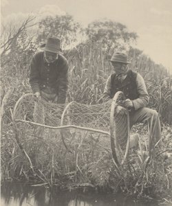 Preparazione della rete ad arco da Peter Henry Emerson