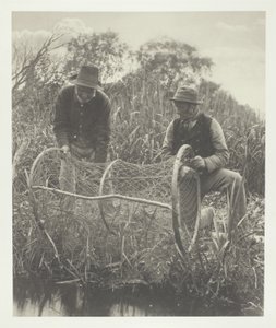 Impostazione della rete ad arco da Peter Henry Emerson