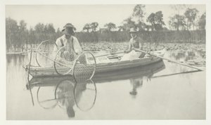 Regolazione della rete di prua