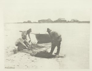 Fusione sul fiume Blythe (Suffolk) da Peter Henry Emerson