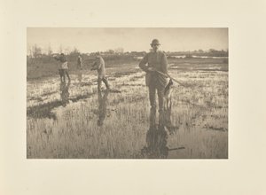  da Peter Henry Emerson