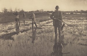  da Peter Henry Emerson