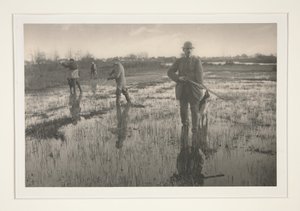  da Peter Henry Emerson