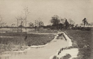 Il bordo del lago