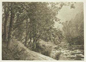 Il sentiero sopra il primo Brae, Dove Dale da Peter Henry Emerson
