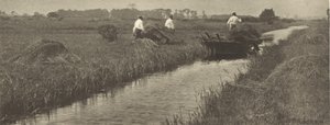  da Peter Henry Emerson