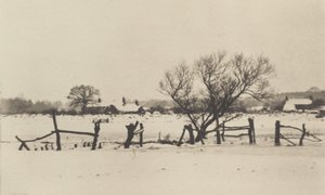 Le paludi innevate da Peter Henry Emerson