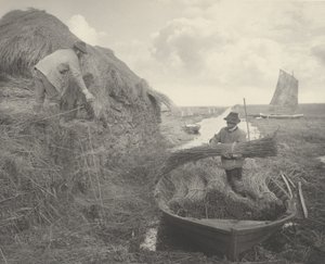 Raccogliendo la canna da Peter Henry Emerson and T.F. Goodall
