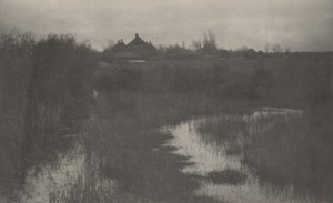 Il margine della palude