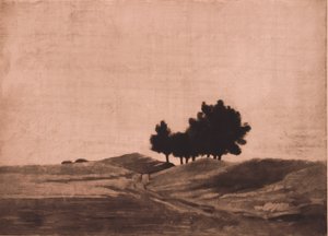 Paesaggio serale