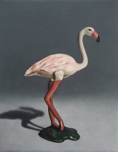 Fenicottero rosa, 2014 da Peter Jones