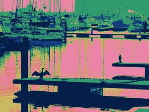 CORTEGGIAMENTO HARTLEPOOL, 2014