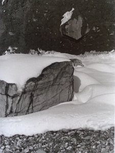 Foto vintage in bianco e nero n.3, 1985 da Peter McClure