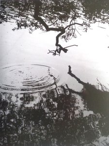 FOTO VINTAGE B&N No.5, 1986 da Peter McClure