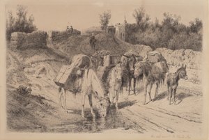 Sulla strada per Santa Fe